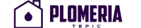 cropped logotepicwebp.webp